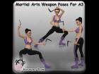 Martial Arts Weapon Poses for A3