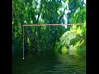 Bamboo Fishing Pole