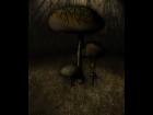 Dark Mushroom