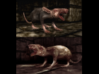 Monster-Rat