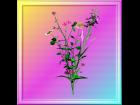 Flower-3d-05