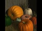 The Pumpkin for DAZ Studio