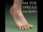 M4 Toe Spread Morphs