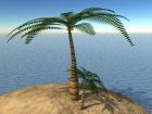 Palm Tree obj