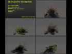 Plants texture pack 04