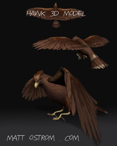 Matt Ostrom's 3D Hawk Model OBJ