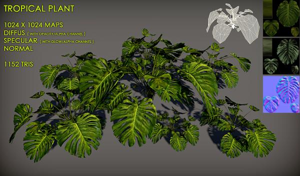 Tropical plant 02