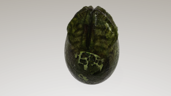 Aliens Egg