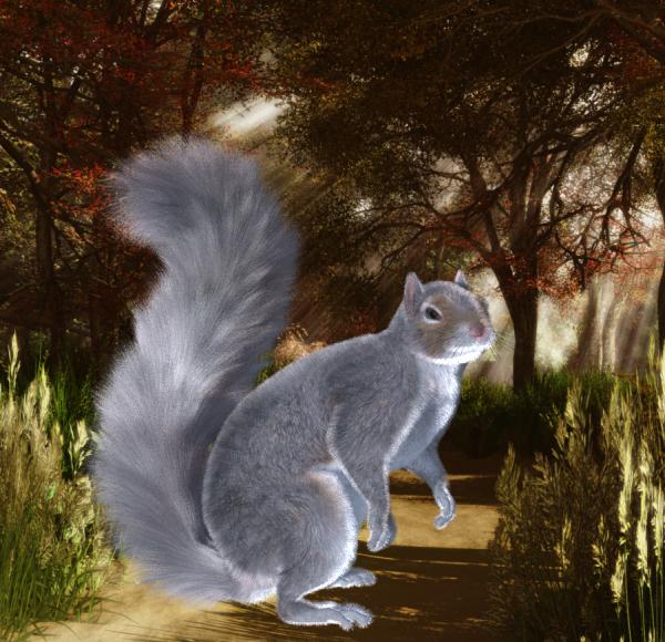 Squirrel Fur Hair Preset Daz LAMH plugin