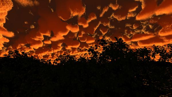 Odd (mammatus) clouds for Bryce by David Brinnen
