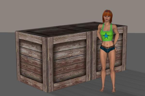 Wood Crate Prop for Poser/Daz Studio