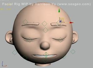 full body rigged character(facial rig with bones)