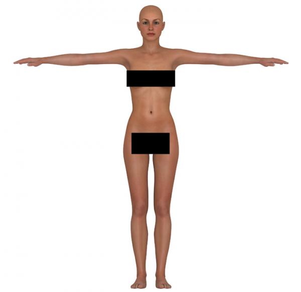 3D Female Blueprint for Modeling (nudity)