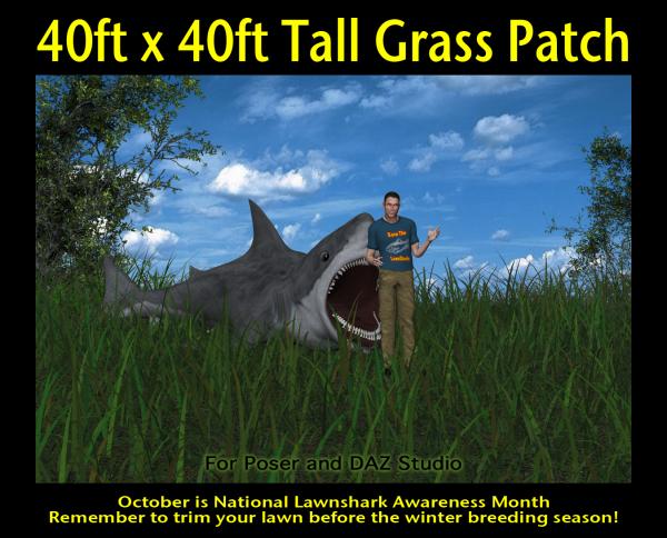 40ftX40ft Tall Grass Patch