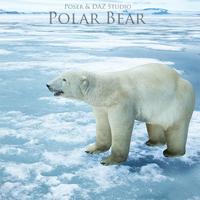 Polar Bear Prop for Poser and DAZ Studio