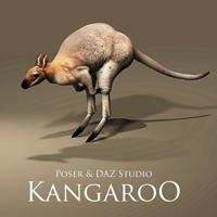 Kangaroo Prop for Poser and DAZ Studio