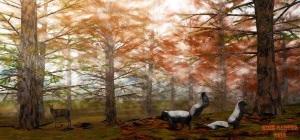 Foresta d&#039;autunno (Autumn forest)