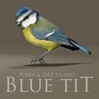 Blue Tit Prop for Poser and DAZ Studio