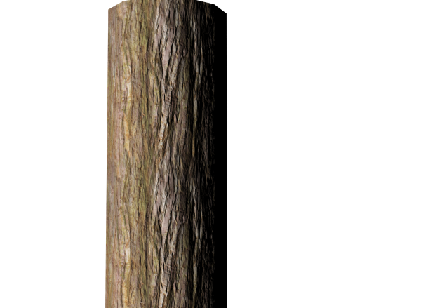 Tree Bark textures