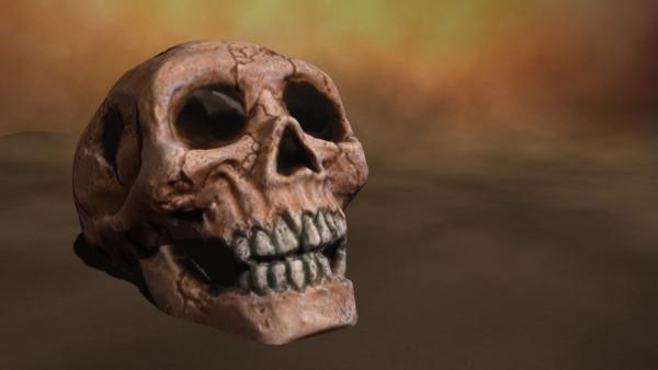 Skull with Holes