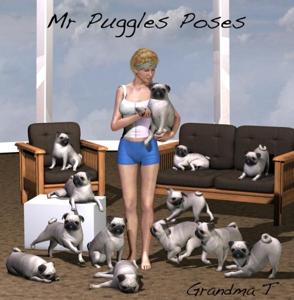 Mr Puggles Poses by Grandma T