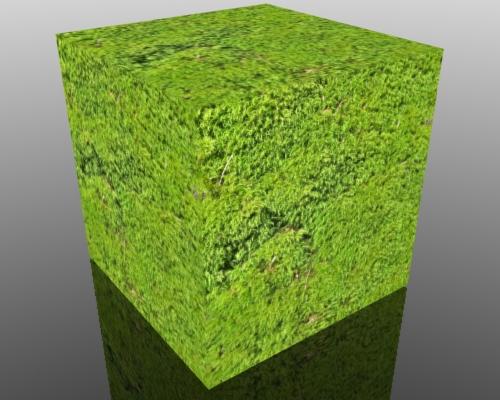 Moss Texture - Seamless