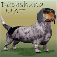 Dachshund MAT