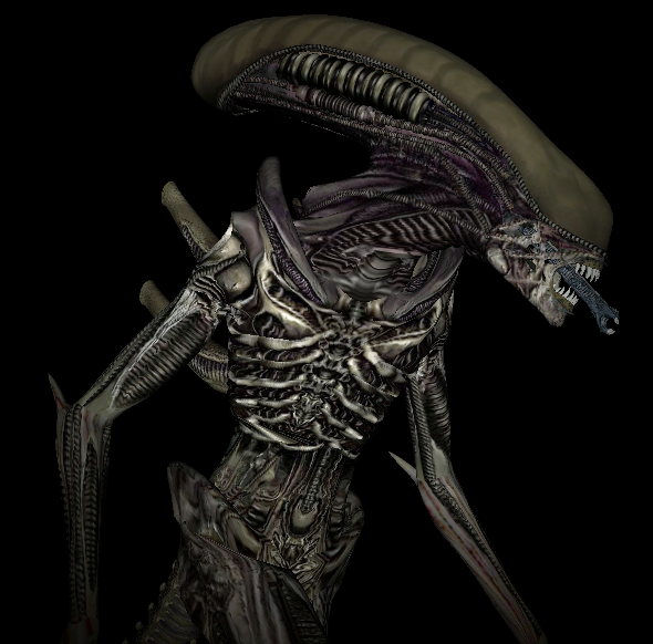 3D Xenomorph