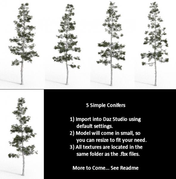 5 Simple Conifer Trees