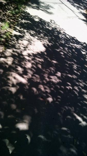my eclipse experience
