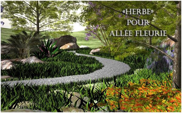 HERBE pour ALLEE FLEURIE