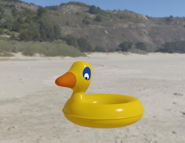 Basic Duck Pool Float - OBSOLETE SEE DESCRIPTION