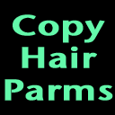 Copy Dynamic Strand Hair Parameters