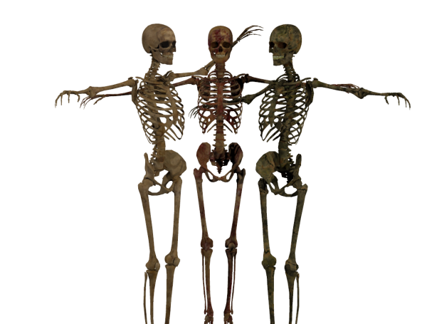 Daz&#039;s Skeleton Mats for Poser