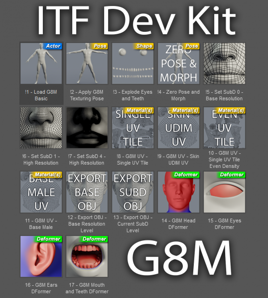 InTheFlesh Dev Kit for Genesis 8 Male