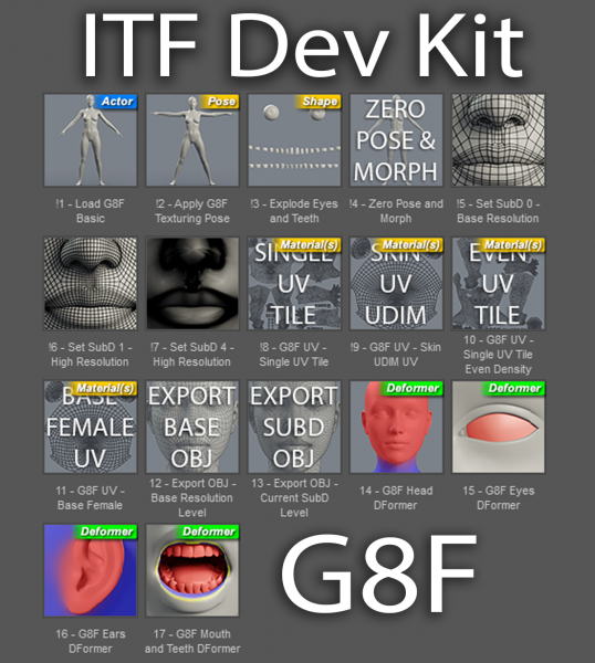 InTheFlesh Dev Kit for Genesis 8 Female