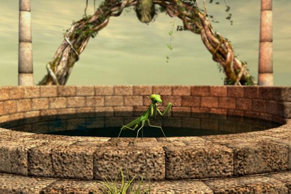 A praying mantis settled on the edge of a pool