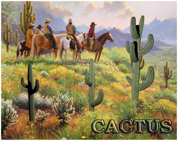 3 Cactus, 4, 5, 6