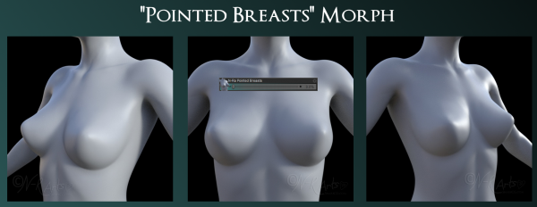 N-Ra Pointed Breast Morph for Genesis 8 Female