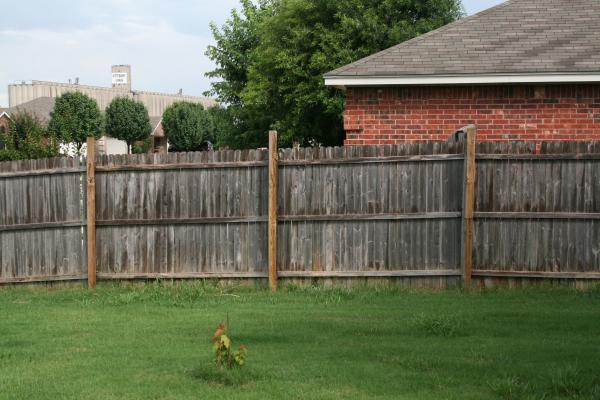 Backyard Fence