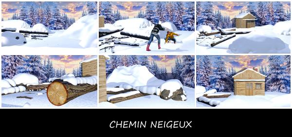 CHEMIN NEIGEUX