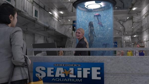 Shredder&#039;s Sealife Aquarium