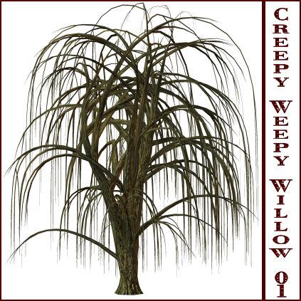 Creepy Weepy Willow 01