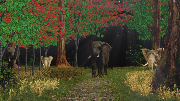 Elephant in the forest Scene
