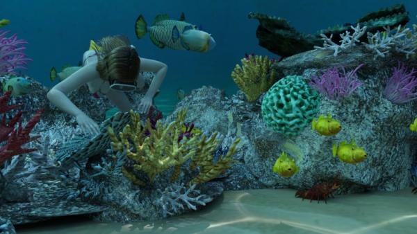 Coral Reef - Great Barrier Reef