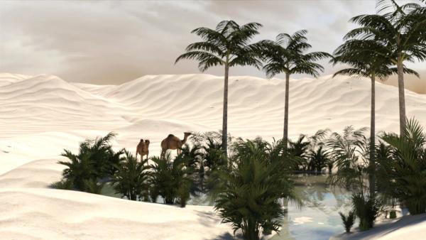 Desert Oasis for DAZ