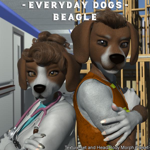 EveryDay Dogs - Beagle for Melody &amp; Micah