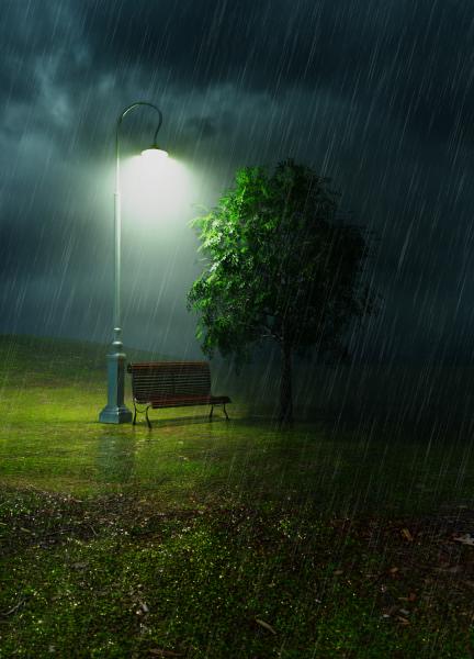 A Simple Rain in The Park Scene