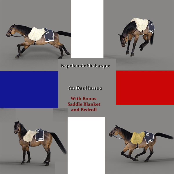 Napoleonic Shabarque for Daz Horse 2