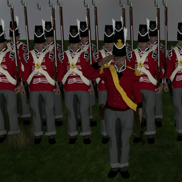 Napoleonic British Foot Guards Infantry